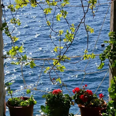 By The Sea Zavalatica, Korcula - 4387 Apartman